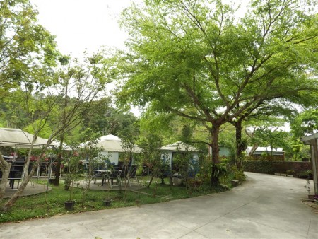 谷泉咖啡庄园内林木苍苍,还种植三千棵的咖啡树,除了提供自产自销的咖啡,还有简餐,是休闲的好地方。(廖素贞/大纪元)